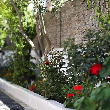 Vila Feliz - Premium Rooms With Free Private Parking Vlorë Esterno foto
