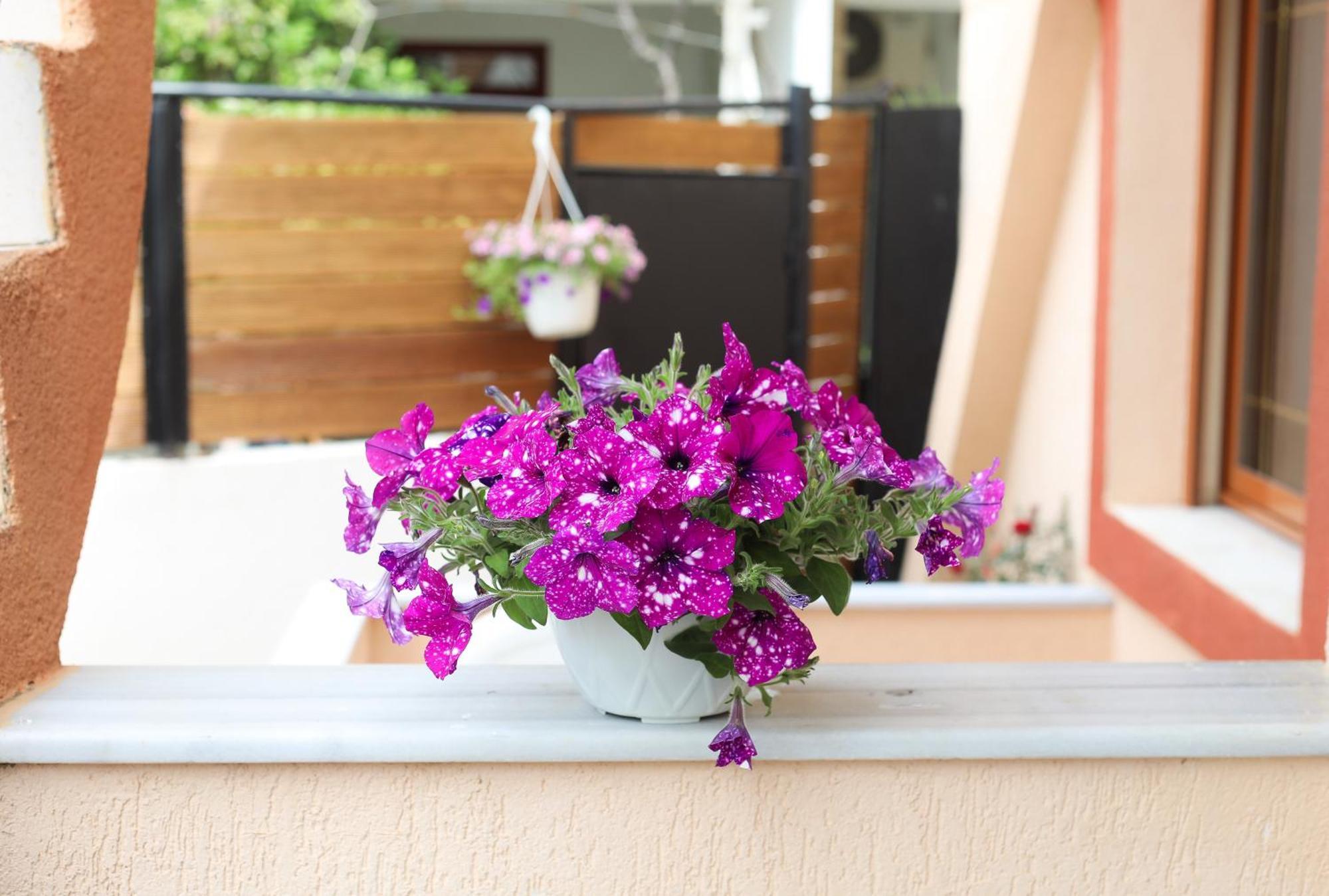 Vila Feliz - Premium Rooms With Free Private Parking Vlorë Esterno foto