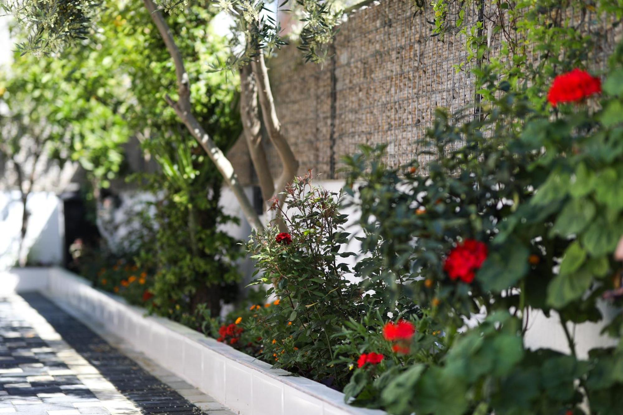 Vila Feliz - Premium Rooms With Free Private Parking Vlorë Esterno foto
