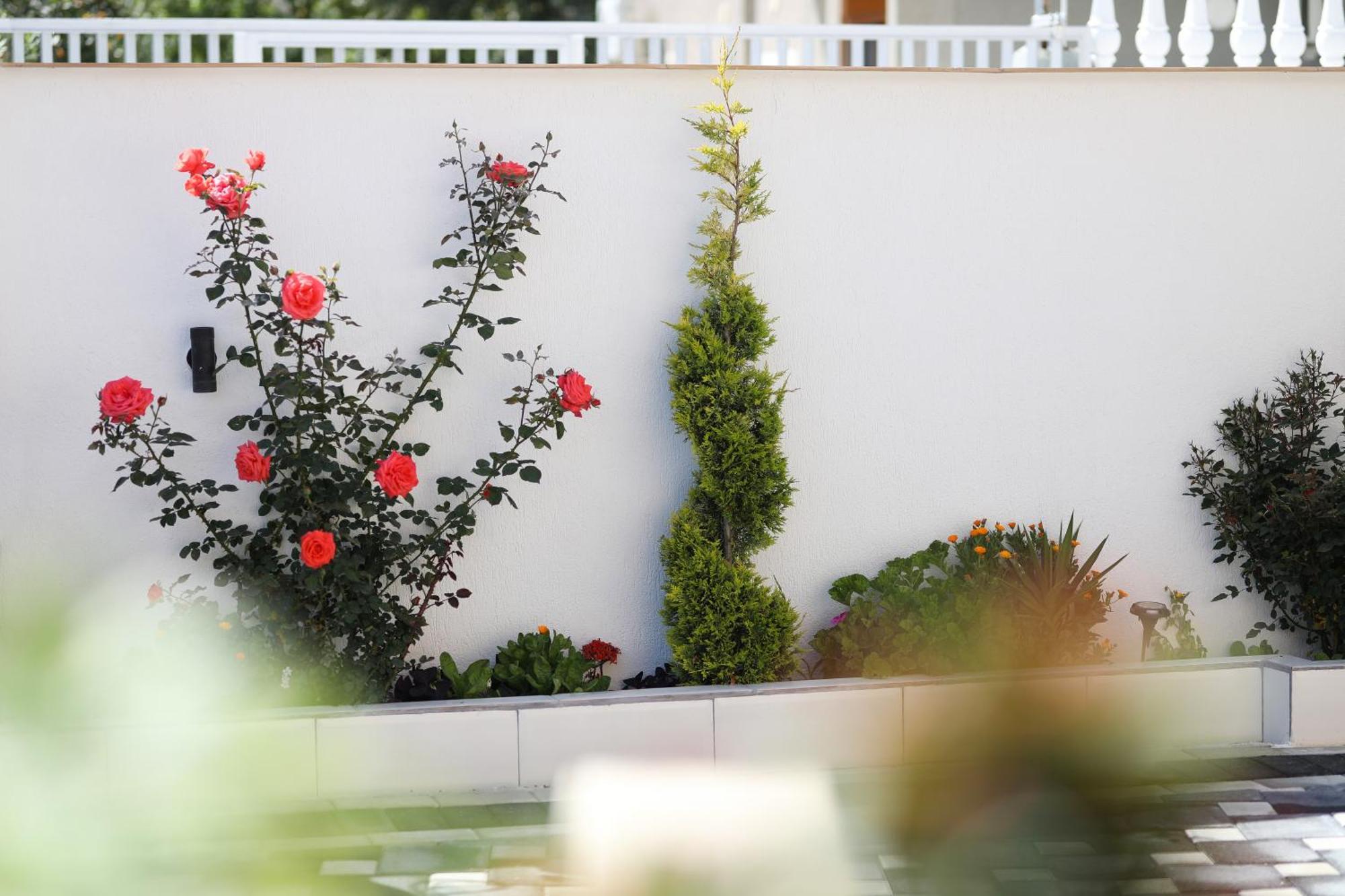 Vila Feliz - Premium Rooms With Free Private Parking Vlorë Esterno foto