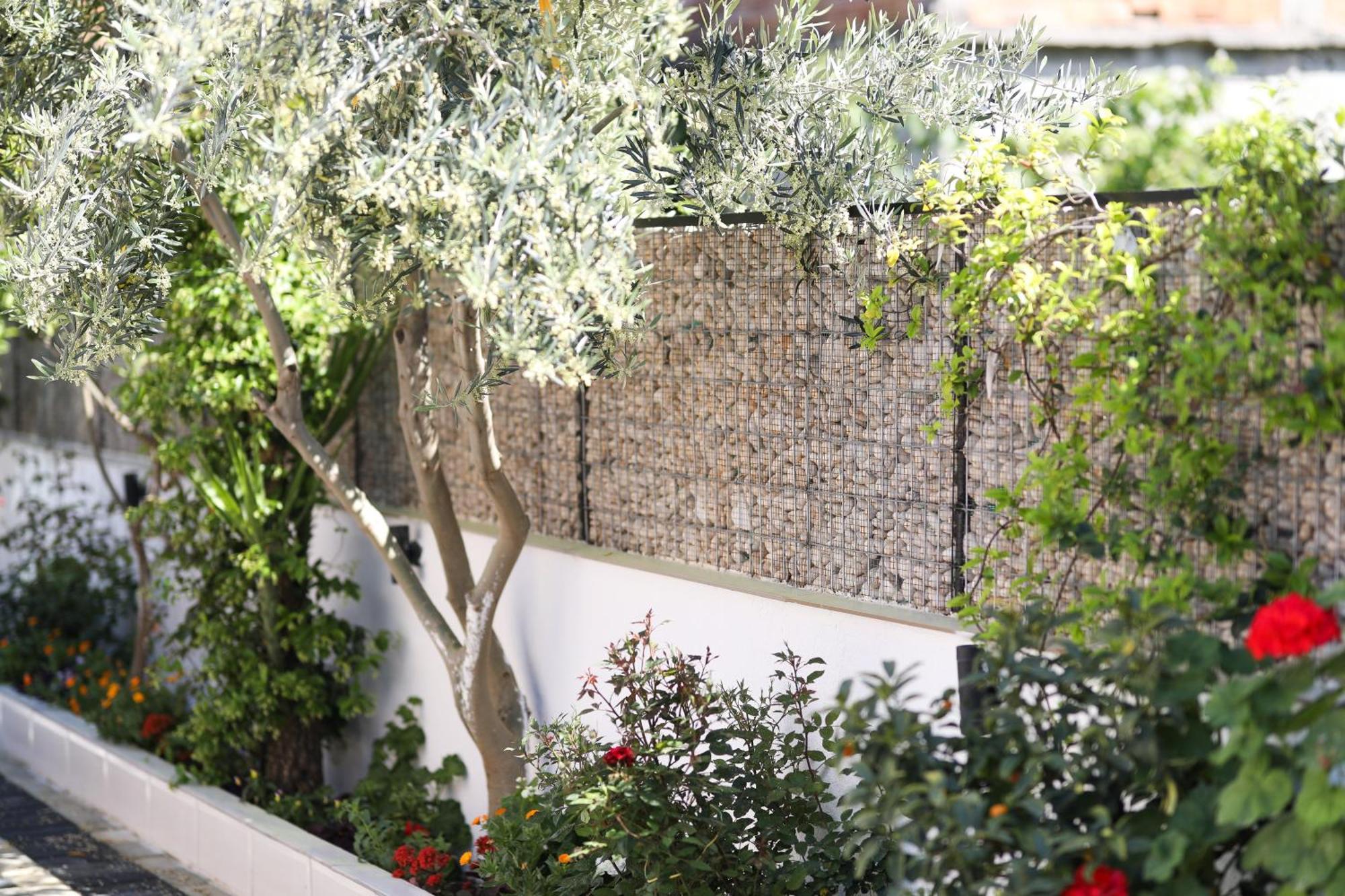 Vila Feliz - Premium Rooms With Free Private Parking Vlorë Esterno foto